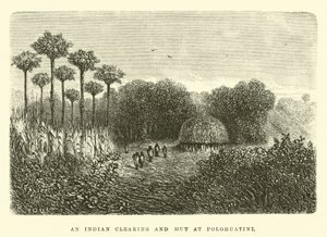 An Indian Clearing and Hut at Polohuatini by Edouard Riou